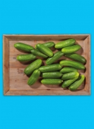 Baye­ri­sche Bau­ern­gur­ken 2.79 €