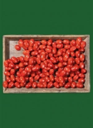 Mi­ni-Pflau­men­to­ma­ten aus Thü­rin­gen 1.69 €