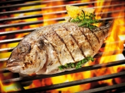 GRILLMEISTER Grill-Dorade Provençale