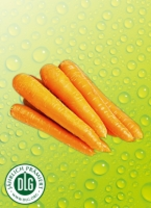 Bio-Snack­möh­ren 0.99 €