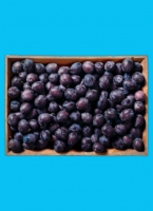 Baye­ri­sche Zwetsch­gen 1.99 €
