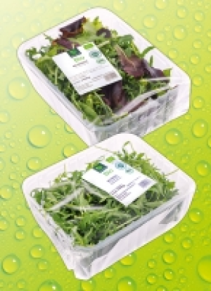 Bio-Sa­la­te 1.19 €