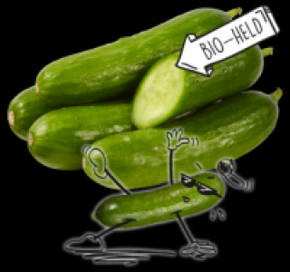 NATURGUT Bio-Snackgurken 1.29 €