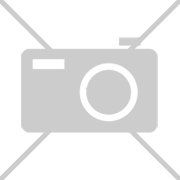 Rossmann  Fensterbilder-Bastelset Tiere