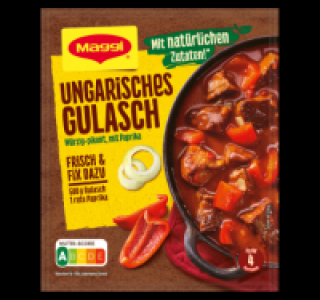 MAGGI Fix & Frisch