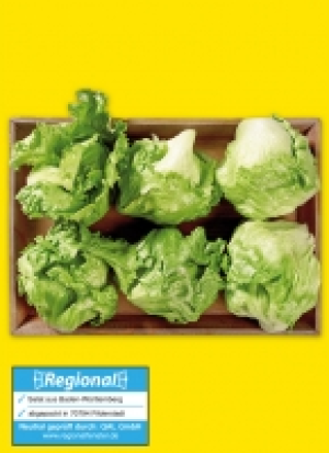 Fil­der­städ­ter Eis­berg­sa­lat 1.11 €