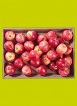 Rhein­län­der Äp­fel 1.99 €
