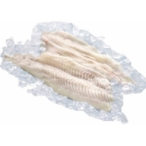 MSC Schollenfilet 12.99 €