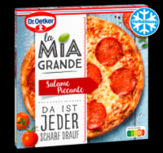 Penny  DR. OETKER Pizza La Mia Grande