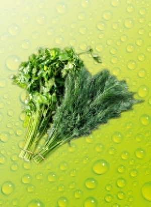 Norma Ernte Krone Fresh Kü­chen­kräu­ter