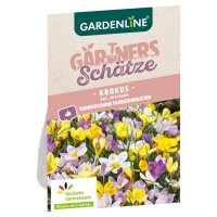 Aldi Süd  GARDENLINE Frühlings-Blumenzwiebeln Deluxe