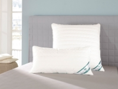 f.a.n. Kissen Medisan 17.90 €