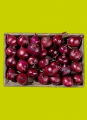 Pfäl­zer Spei­se­zwie­beln 1.49 €