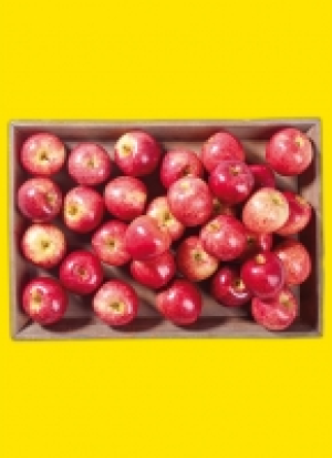 Äp­fel aus Ba­den-Würt­tem­berg 1.29 €