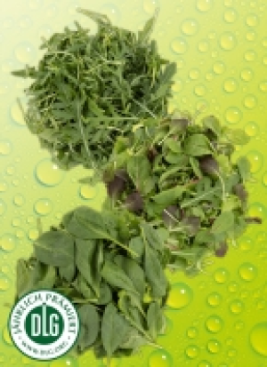 Bio-Sa­la­te 1.39 €