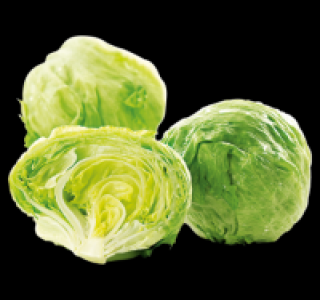 Penny  Eisbergsalat