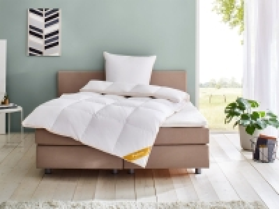 Balette deLuxe Gänsedaunen-Kassettenbettdecke Gold-Edition extra-warm 139.00 €
