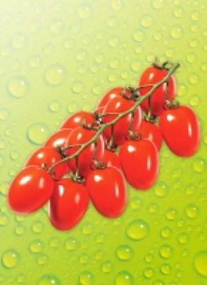 Pic­ca­dil­ly­ris­pen­to­ma­ten 1.79 €