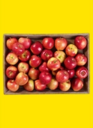 Norma  Äp­fel