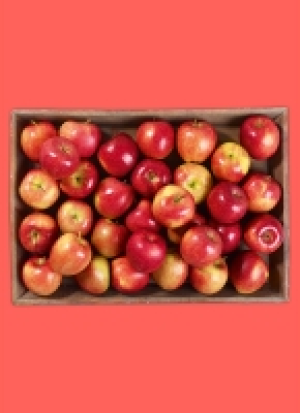 Frän­ki­sche Äp­fel 2.29 €