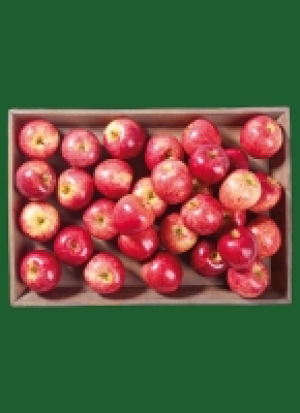Bran­den­bur­ger Äp­fel 2.19 €