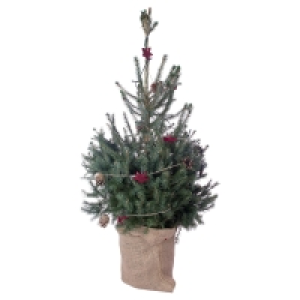GARDENLINE Dekorierter Weihnachtsbaum