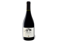 Lidl Viajero VIAJERO Pinot Noir Valle de Leyda Gran Reserva trocken, Rotwein 2020