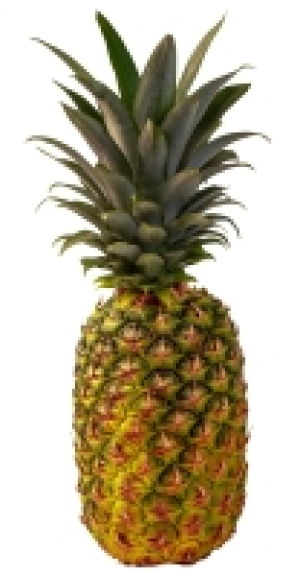 Costa-rican. Ananas, lose 2.99 €