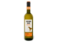 Lidl Cimarosa CIMAROSA Sauvignon Blanc Südafrika trocken, Weißwein 2021