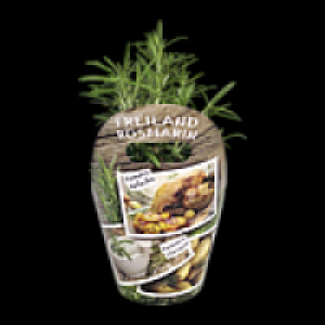 Freilandkr&auml;uter 1.49&nbsp;&euro;