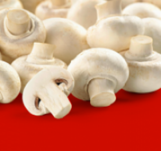 Weiße Champignons 1.11 €