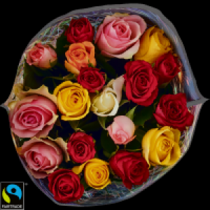 Fairtrade Rosen 4.99 €
