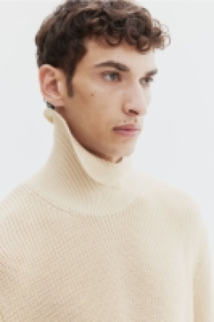 Rollkragenpullover Regular Fit 17.99 €