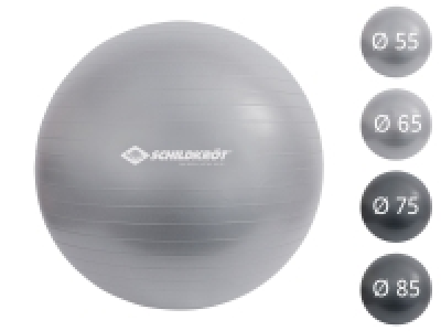 Lidl Schildkröt Fitness Schildkröt Fitness Gymnastikball für Körpergrößen von 160-185 cm