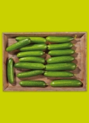 Rhein­län­der Mi­ni-Gur­ken 5.90 €