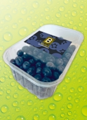 Pre­mi­um Kul­tur-Hei­del­bee­ren 3.99 €