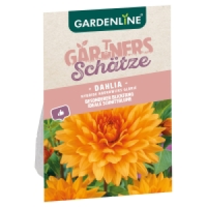 Aldi Süd  GARDENLINE Blumenzwiebeln