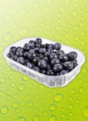 Kul­tur­hei­del­bee­ren 3.49 €