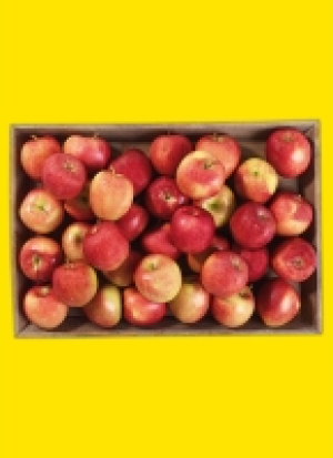 Äp­fel aus Ba­den-Würt­tem­berg 1.69 €