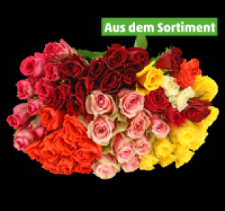 Fairtrade-Rosen 2.99 €