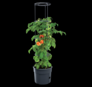 Tomatenpflanzkübel-Se