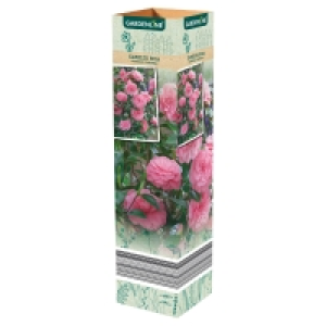 GARDENLINE Gartenpflanzen-Mix 2.79 €