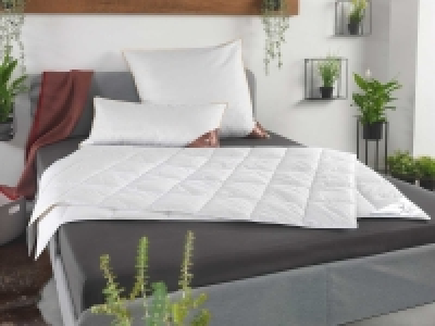 HÄUSSLING Dauneneinzieh-/Sommerdaunendecke 64.99 €
