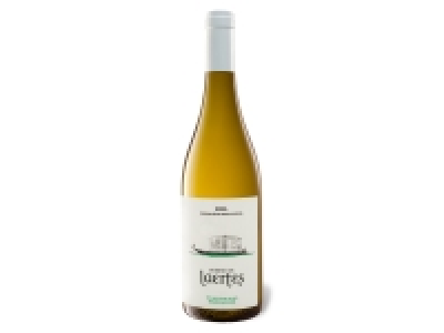 BIO Domino de Laertes Rioja DOCa trocken, Weißwein 2021