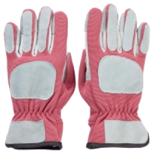 GARDENLINE Leder-Gartenhandschuhe 5.99 €