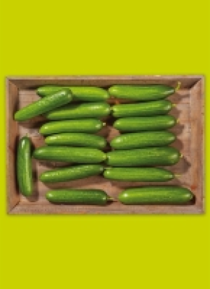 Rhein­län­der Mi­ni-Gur­ken 5.50 €