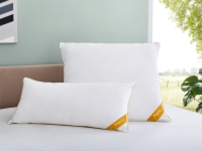 Balette deLuxe Gänsefeder/Daunen Kopfkissen Gold-Edition