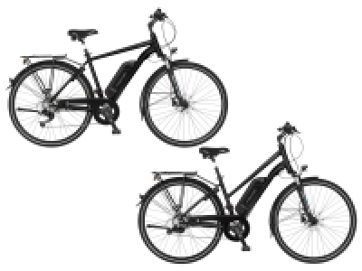 FISCHER E-Bike Trekking ETH/ETD 2206, Modell 2022, 28 Zoll
