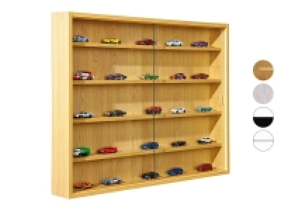 Inter Link Sammlervitrine