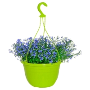 GARDENLINE Blühende Ampelpflanze